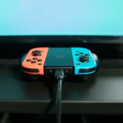 Joycon play & charge 2024