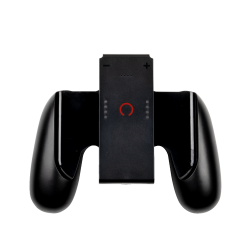 Joycon play & charge 2024