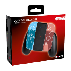 Joycon play & charge 2024
