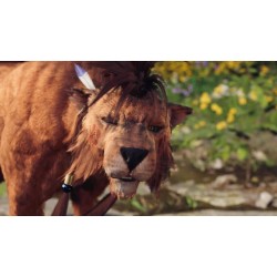 FINAL FANTASY VII REBIRTH PS5