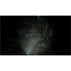 Jeu PS5 Resident Evil 9 Requiem