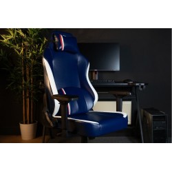 Fauteuil Gaming - PSG
