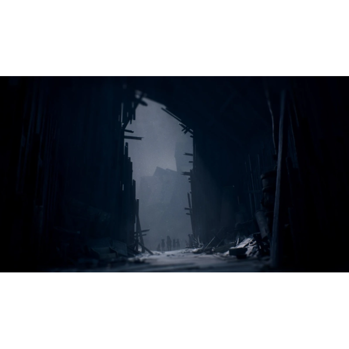 Jeu PS5 Reanimal