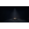 Jeu PS5 Reanimal