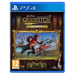 HARRY POTTER CHAMPIONS DE QUIDDITCH