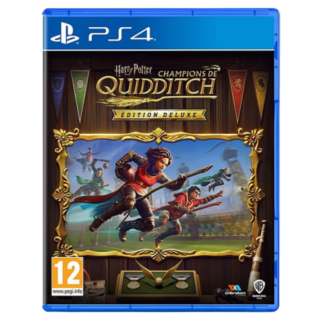 HARRY POTTER CHAMPIONS DE QUIDDITCH