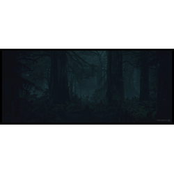 ALAN WAKE 2 DELUXE ED PS5 VF