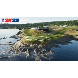 PGA TOUR 2K25 SWI2 VF
