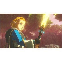 HYRULE WARRIOR SWI2 VF