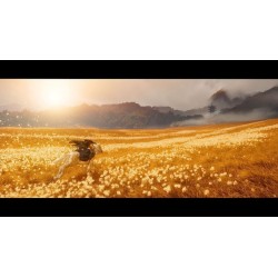 Jeu PS5 Ghost Of Yotei