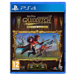 Harry Potter Champions de Quidditch PS4 | Maurel David