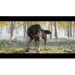 Jeu PS5 Ghost Of Yotei