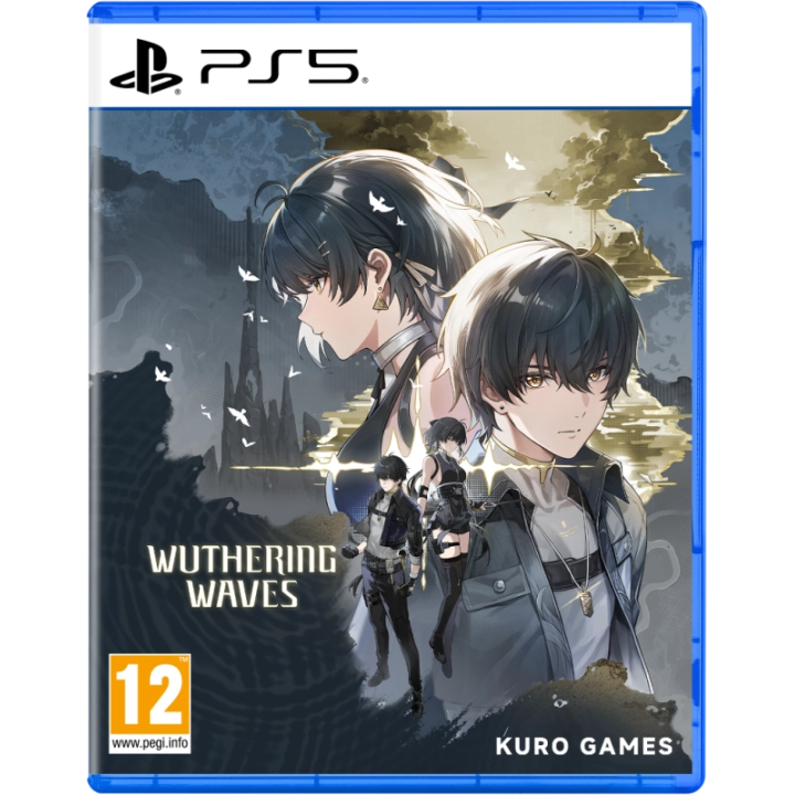 Wuthering Waves Deluxe Collection PS5 | Maurel.shop