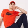 TShirt logo imprimé - Lacoste